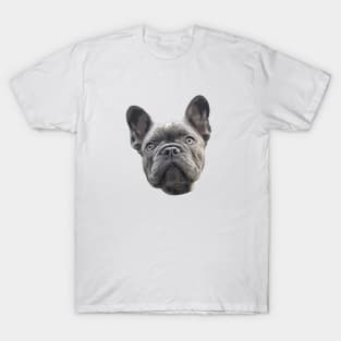 French Bulldog Blue Puppy Dog T-Shirt